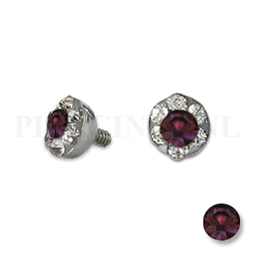 Dermal balletje 4 mm paars met meerdere kristallen