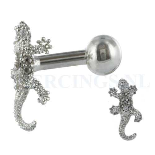 Helix hagedis kristallen