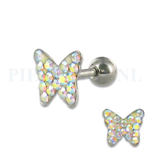 Helix vlinder met steentjes