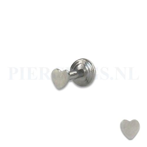 Labret 1.2 mm hart 6 mm