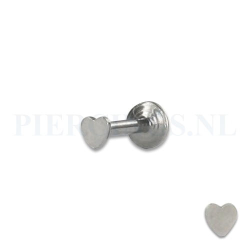 Labret 1.2 mm hart 8 mm
