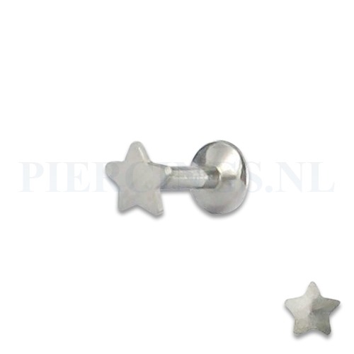 Labret 1.2 mm ster 6 mm