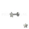 Labret 1.2 mm ster 8 mm