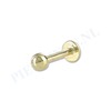 Labret 1.6 mm goud 14 karaat 4 mm