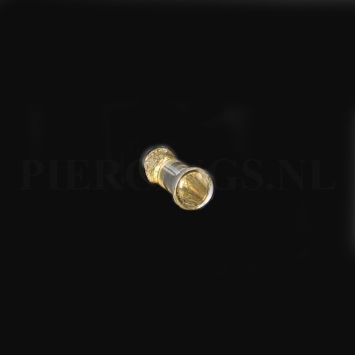 Plug goud 4 mm 4 mm